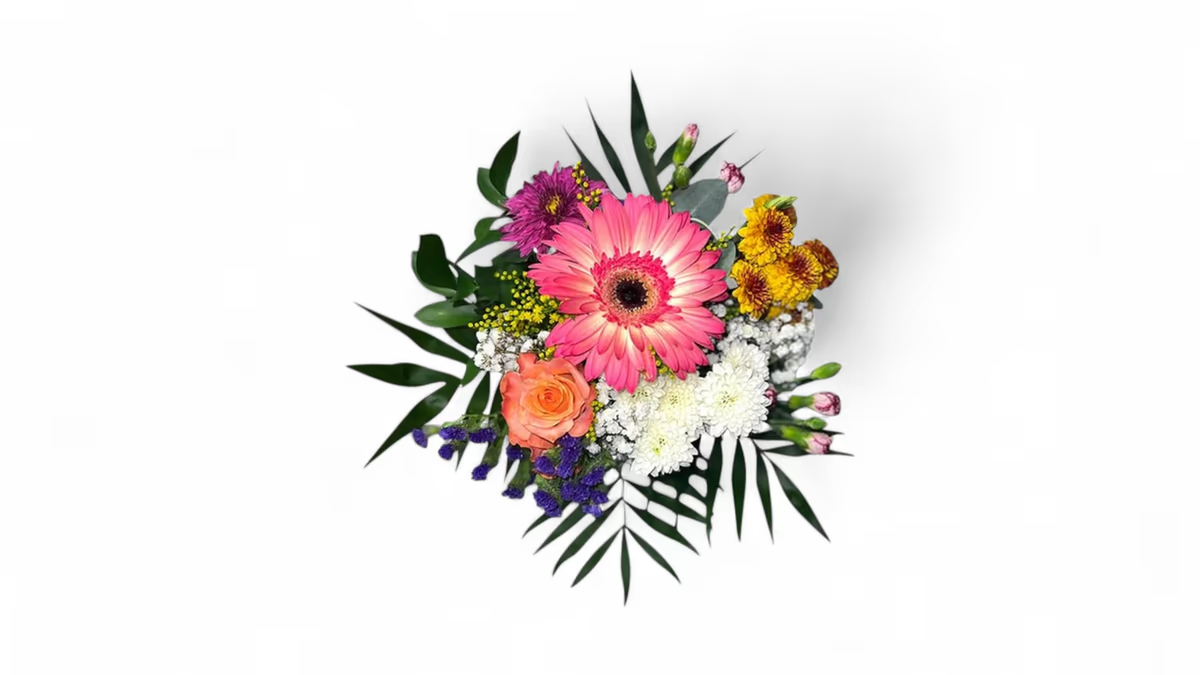 Stefania Strauß
