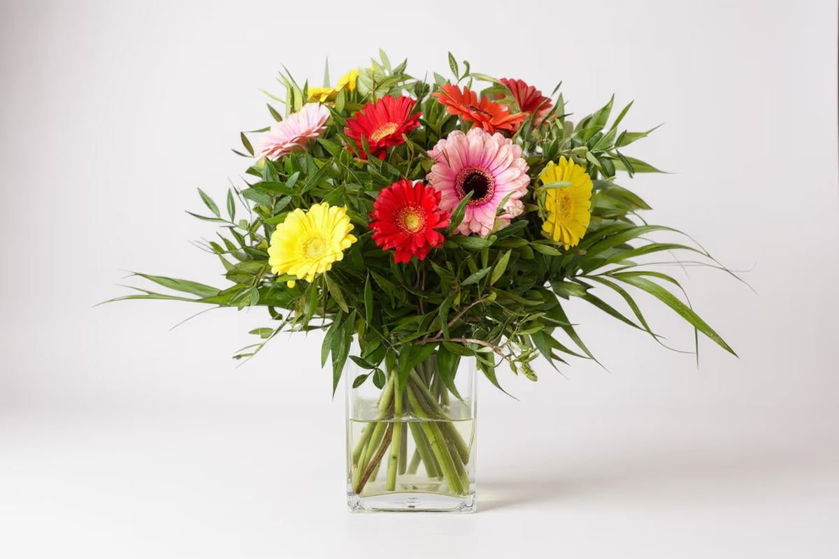 Gerbera Strauß